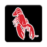 cousins maine lobster android application logo